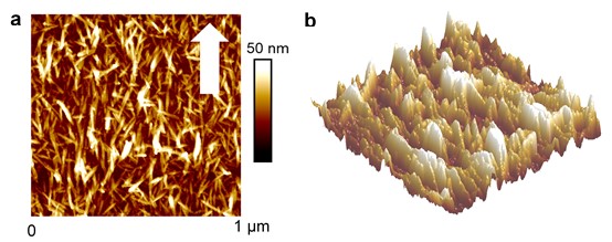 Revêtement de nanocristaux de chitin orientés